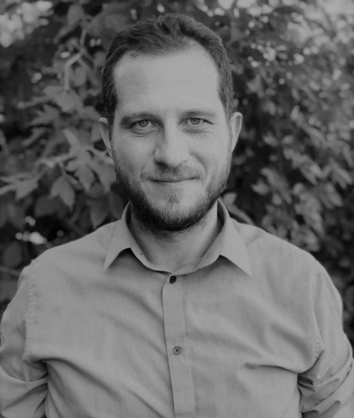Dan Ștefănescu
